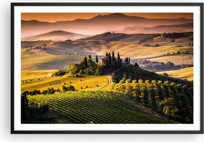 Produktbild von Gerahmtes Poster - Schwarzer Rahmen - Landwirtschaft Bauernhof Toskana Weinberg - 91,5x61 cm - Wand Bild - Wanddeko - Wandbilder - Wandposter - Bilderrahmen - Bilder - Kunstdruck - P2BAA91x61-2465