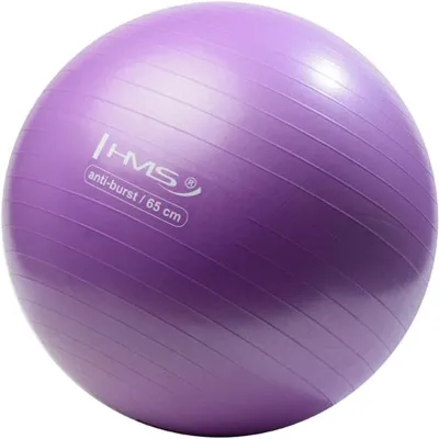 Produktbild von YB02N Gymnastikball 65 cm, Anti-Burst, Violett, mit Pumpe | Yoga & Pilates, Max. 100 kg Belastung, Rutschfeste Oberfläche, Inkl. Ballpumpe, Fitness & Rehabilitation