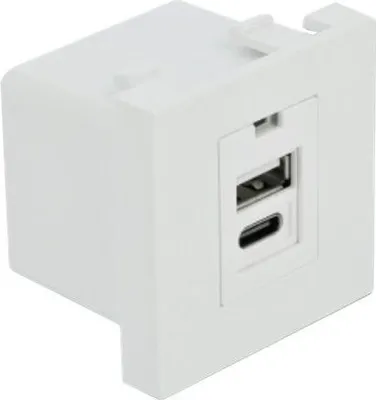 Image de DELOCK Easy 45 USB Ladeportmodul 1 x USB-A + 1 x USB-C