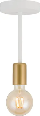 Obrázek produktu pro Stropní svítidlo Gino, bílo-zlaté, 1xE27x15W, kov, rozměry: 26x10x10 cm, IP20, Sigma Lighting