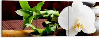 Produktbild von Bild auf Leinwand - Leinwandbild - Bambus Schönheit Dekoration Blume - 150x50cm - Wand Bild - Wanddeko - Leinwanddruck - Bilder - Kunstdruck - Leinwand bilder - Wandkunst - CA150x50-2166