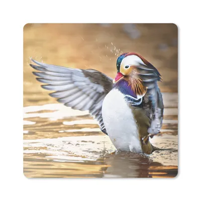 Produktbild von MuchoWow® Mauspad Mousepad Ente - Tier - Wasser - Herbst 30x30 cm - Mousepads - Maus Mat - Pad - Mausunterlage - Gaming