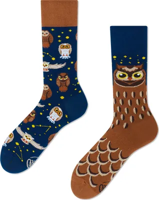 Produktbild von Motivsocken "OWLY MOLY" von Many Mornings.Größe:39-42