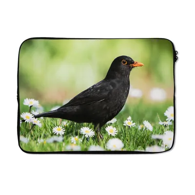 Produktbild von MuchoWow® Laptop Hülle 13 Zoll Vogel - Amsel - Blumen Laptoptasche - Laptophülle - Sleeve - Rundumschutz