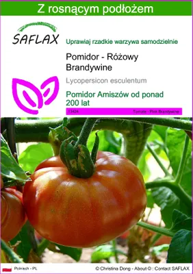 Zdjęcie produktu dla SAFLAX - Pomidor - Różowy Brandywine - 10 Nasiona - Z podłożem uprawowym wolnym od zarazków - Lycopersicon esculentum