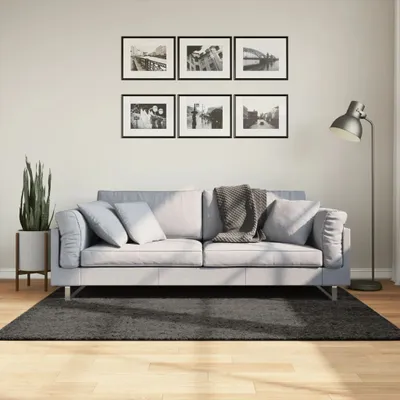 Produktbild von Teppich ISTAN Hochflor Glänzend Anthrazit 120x170 cm 375640