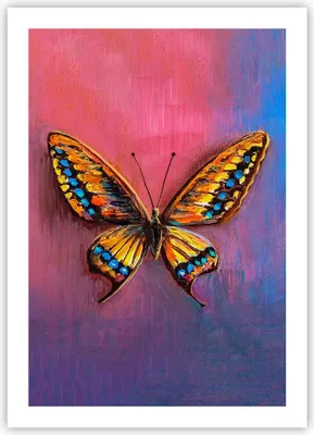 Produktbild von Poster - Poster ohne Rahmen - Schmetterling bunt gemalt - 50x70 cm - Wand Bild - Wanddeko - Wandbilder - Kunstposter - Wandposter - Bilder - Kunstdruck - Wanddekoration - Wandbild - P2XPA50x70-5012