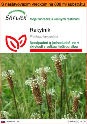 Obrázok produktu pre SAFLAX Garden in the bag - rakytník - Plantago lanceolata - 100 Semená - S pestovateľským substrátom v praktickom samostaviteľnom vrecku