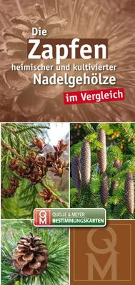 Obrázok produktu pre Die Zapfen heimischer und kultivierter Nadelgehölze im Vergleich