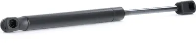 Produktbild von RIDEX 219G0898 Gasfeder Heckklappendämpfer für MITSUBISHI Lancer VIII Limousine (CYA, CZA) 298mm