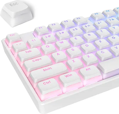 Produktbild von Double Shot PBT-Tastenkappen mit durchscheinender Schicht,117 Tasten XDA Profile Keycaps,für ISO&ANSI 61/68/84/87/104 Tasten mechanische Tastatur
