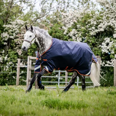 Produktbild von Horseware Rambo Original with Leg Arches Turnout 100g - Navy/Orange, 165