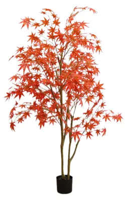 Zdjęcie produktu dla Künstlicher Ahornbaum Fächerahorn 180cm Rot