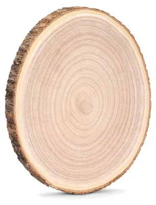 Produktbild von Paulownia Holzscheiben zum Basteln, Set aus 2