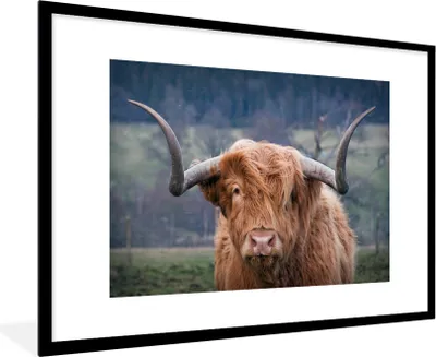 Produktbild von MuchoWow® MuchoWow® Gerahmtes Poster Schottisches Hochlandrind - Hörner - Berg 90x60 cm - Poster mit zchwarzem Bilderrahmen - Wanddekoration - Fotos