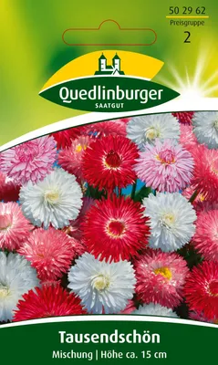Produktbild von Quedlinburger Saatgut - Tausendschön Mischung - Samen - 502962