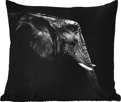 Produktbild von MuchoWow® Outdoor Kissen - Elefant - Schwarz und weiß - Porträt - Tiere - 50x50 cm - Wetterfest - Lounge Kissen - Komfortabel - Kissen mit Bild