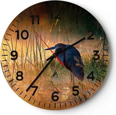 Produktbild von Wanduhr - Rund - Glasuhr - Vogel Natur Wasser - 30x30cm - Schleichendes Uhrwerk - Lautlos - zum Aufhängen bereit - Dekoration Modern - Wanddekoration aus Glas - C4AR30x30-3708