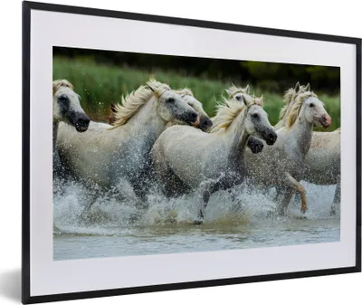 Produktbild von MuchoWow® MuchoWow® Gerahmtes Poster Pferde - Wasser - Natur 60x40 cm - Poster mit zchwarzem Bilderrahmen - Schlafzimmer - Plakat in Rahmen - Drucken