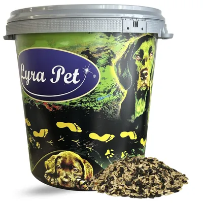 Productafbeelding van 10 kg Lyra Pet® zonnebloempittenmix in een bak van 30 liter