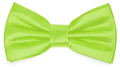 Produktbild von Ladeheid Kinder Jungen Fliege - Vorgebunden Glänzende BKS (10cm x 5cm)