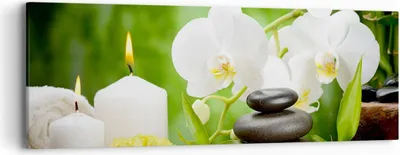 Produktbild von Bild auf Leinwand - Leinwandbild - Blume aromatherapie spa - 90x30cm - Wand Bild - Wanddeko - Leinwanddruck - Bilder - Kunstdruck - Wanddekoration - Leinwand bilder - Wandkunst - AB90x30-2718