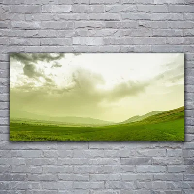 Produktbild von Glasbilder 120x60 Wandbild Druck auf Glas Wiese Natur