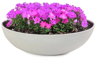 Immagine prodotto di Ciotole per piante da esterno Ciotole decorative rotonde beige grigio 37 cm