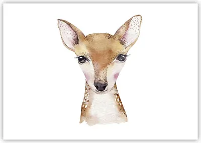 Produktbild von Poster - Poster ohne Rahmen - Damhirschkuh Grafiken Kinder - 100x70 cm - Wand Bild - Wanddeko - Wandbilder - Kunstposter - Wandposter - Bilder - Kunstdruck - Wanddekoration - P2XAA100x70-4449