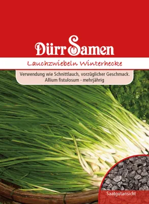 Produktbild von Lauchzwiebel Winterhecke | Lauchzwiebelsamen von Dürr Samen