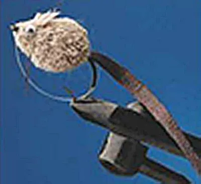 Produktbild von Grauvell Teklon Bass Bug 10 Gr.6