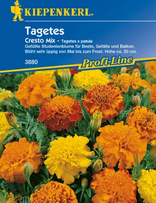 Produktbild von Tagetes Cresto Mix | Studentenblumensamen von Kiepenkerl