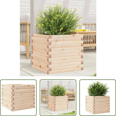 Immagine prodotto di The Living Store Fioriera 50x50x45,5 cm in legno di pino massiccio