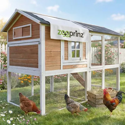 Produktbild von zooprinz Hühnerstall Alpenhof XXL Freilauf Nistkasten Wetterfest Massivholz 211x145x105cm (BxHxT)
