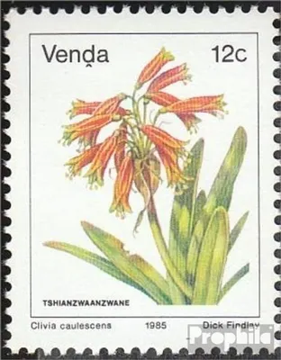 Produktbild von Briefmarken Südafrika - Venda 1985 Mi 111 (kompl.Ausg.) postfrisch Freimarke: Blume