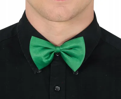 Imagen del producto de Mariposa como accesorio de vestuario, color verde, talla única