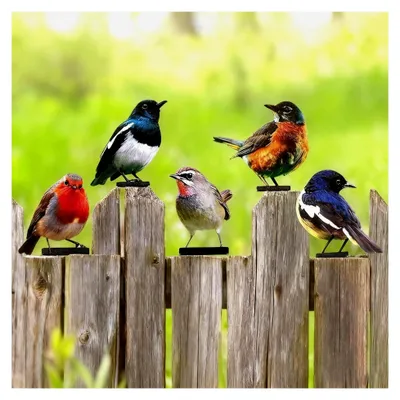 Produktbild von 5 Stück Gartendeko Bemalte Vögel Gartenstecker für die Außendekoration