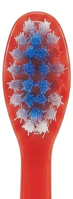 Image de Tinokou, brosse à dents lumineuse pour enfants avec ventouse - Paw Patrol, Bleu