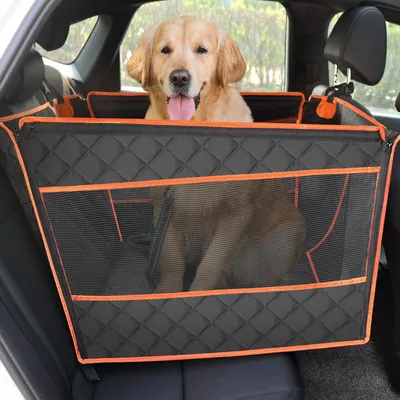 Hundesitzschale XL 70x61x55 cm, 4 Gurte, für große Hunde