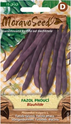 Obrázok produktu pre Fazuľa BLAUCHILDE, fialová 68350