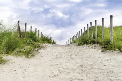 Produktbild von Wallario Premium Vliestapete Fototapete Auf dem Weg zum Strand durch Dünen in der Größe 400 x 267 cm, extra dick, wird in 5 Teilen geliefert