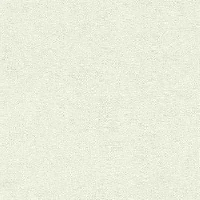Obrázok produktu pre Netkaná textília 507041 Jednofarebná tapeta 53 x 1005 cm Rasch #tapetenwechsel II White