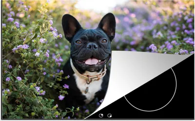 Produktbild von KitchenYeah© Herdabdeckplatte Französische Bulldogge - Blumen - Lila , 76x51cm, Küche Deko, Glaskeramikkochfeld Herdabdeckung, Abdeckplatte fùr Kochfeld