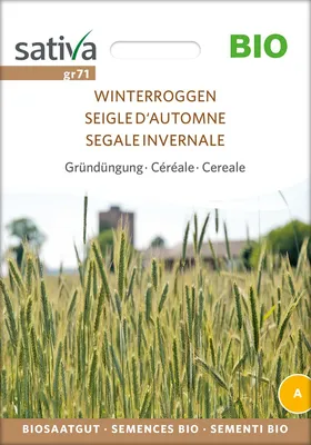 Artikelbild 1 von 'BIO Getreide Winterroggen' aus der Kategorie Gräsersamen