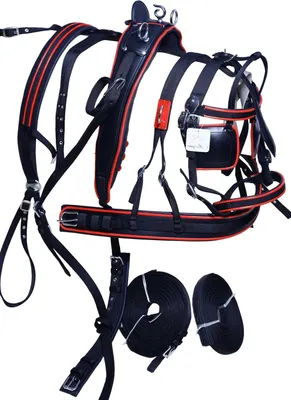 Productafbeelding van Nylon Paard Tuig - Paarden Harnas Rijtuig - Paardrijden Trainen - Volledig Gewatteerd Comfort - Maat Shetland - Zwart Rood