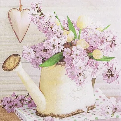 Obrázek produktu pro HOME F. 212304 Obědové ubrousky pružina - 33 x 33 cm, 20 kusů