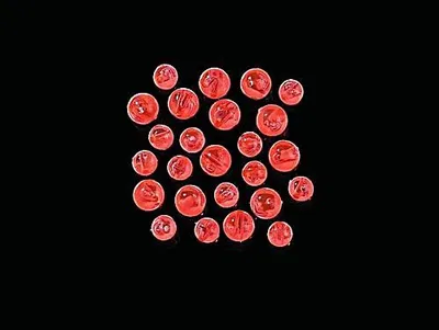 Produktbild von 20 Stück rote Angelperlen 5mm für Meerwassersysteme
