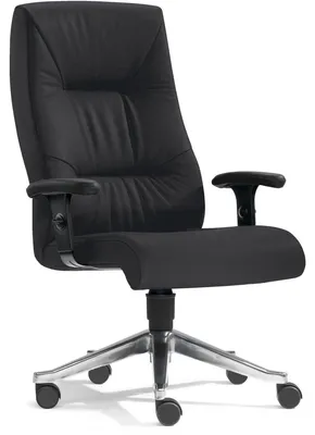 Produktbild von Bandscheiben-Bürosessel Turbo-XXL bis 200 kg schwarz mit Armlehnen