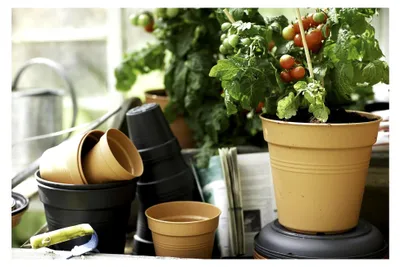 Produktbild von Green Basics Anzuchttopf 24 - Growpot für Züchten und Ernten - Ø 24.0 x H 22.1 cm - Grün/Leaf Green