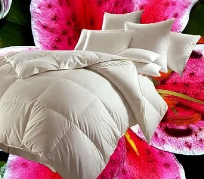 Produktbild von Betten Hofmann Canada Kassetten Daunenbett 4x6 135x200 1000 g Daunendecke 100% neue Daunen